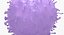 Solid Stem Cell
