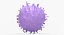Solid Stem Cell