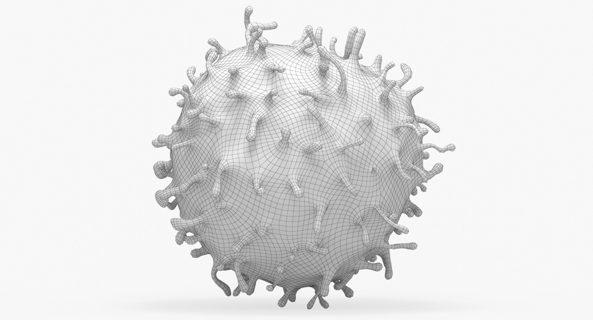 3D solid stem cell https://p.turbosquid.com/ts-thumb/qY/2yf7cs/L46BvAhM/20_front_view_wireframe/jpg/1546554568/1920x1080/fit_q87/8176a8cf7ac97a5bc3a5fdfe710df2cd3670690a/20_front_view_wireframe.jpg