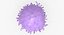 Solid Stem Cell