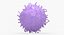 Solid Stem Cell