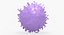 Solid Stem Cell
