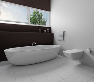 3D modern bath room
