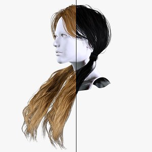 3D Long Double Ponytail Hairstyle - Realistic 3D Hair