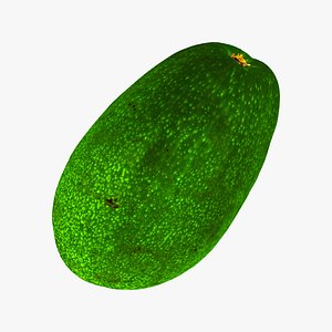 bacon avocado 01 raw 3D model