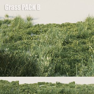 3D grass pack b