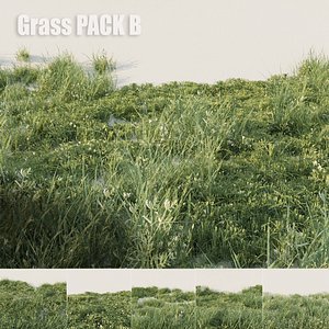 Grass pack B