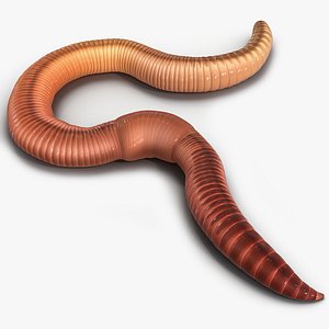 3d model earth worm pose 2