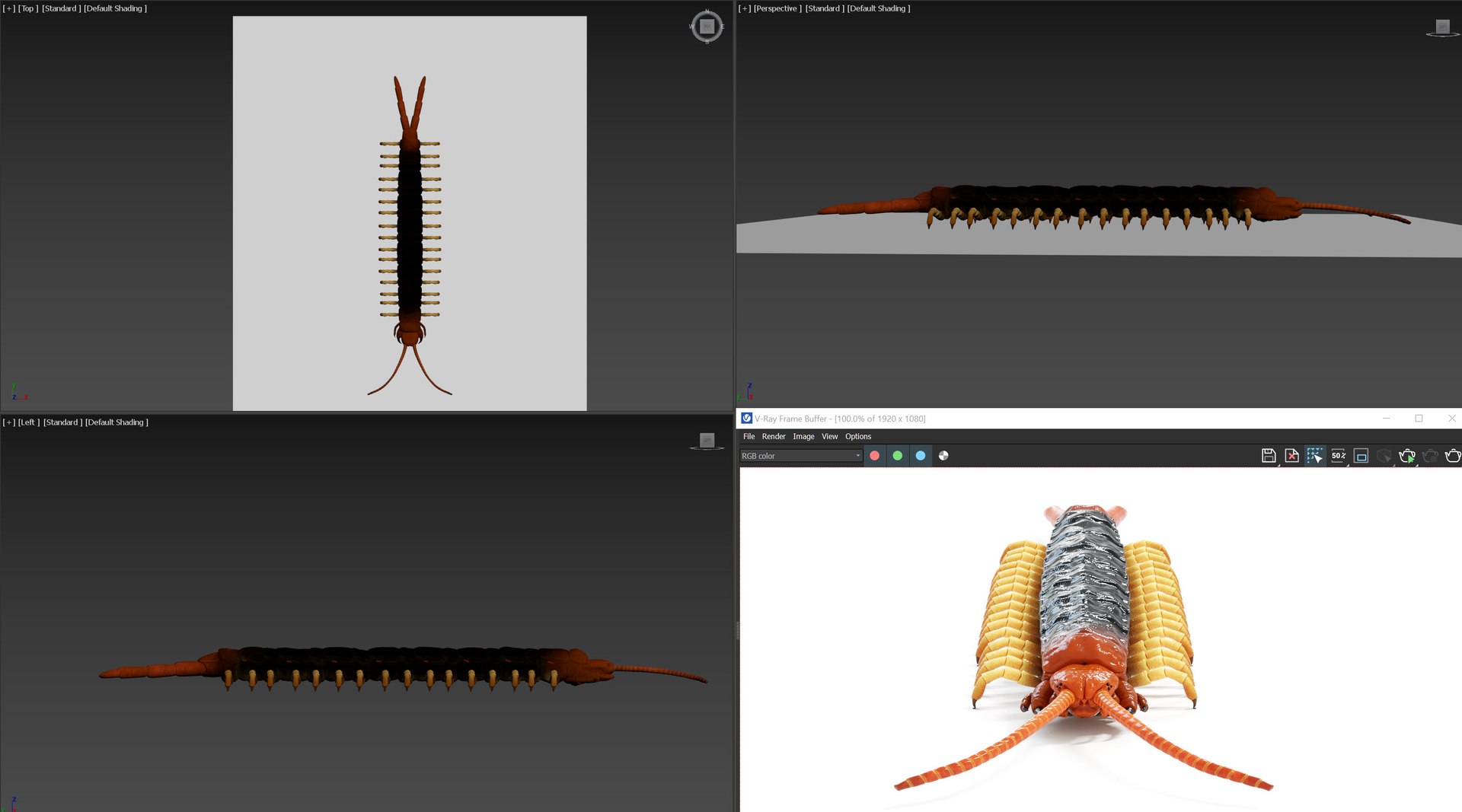 3D Centipede Static - TurboSquid 1968031