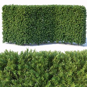 3D taxus baccata modular model