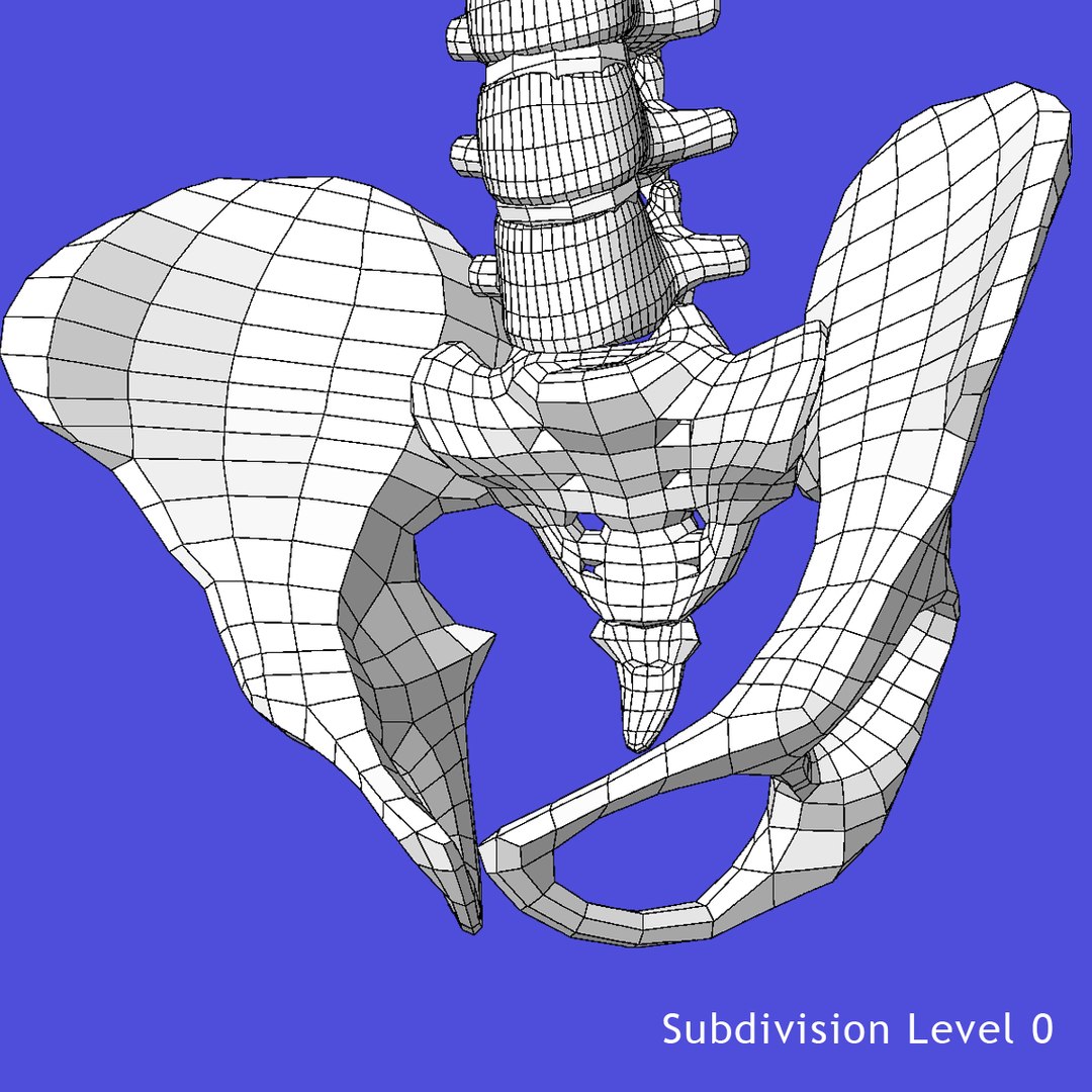 anatomy study torso 3d ma https://p.turbosquid.com/ts-thumb/qY/oiph2I/34WoB5dB/wire_d/jpg/1421956491/1920x1080/fit_q87/692a25ad68a7003362d3b703e354df01fa15ec96/wire_d.jpg