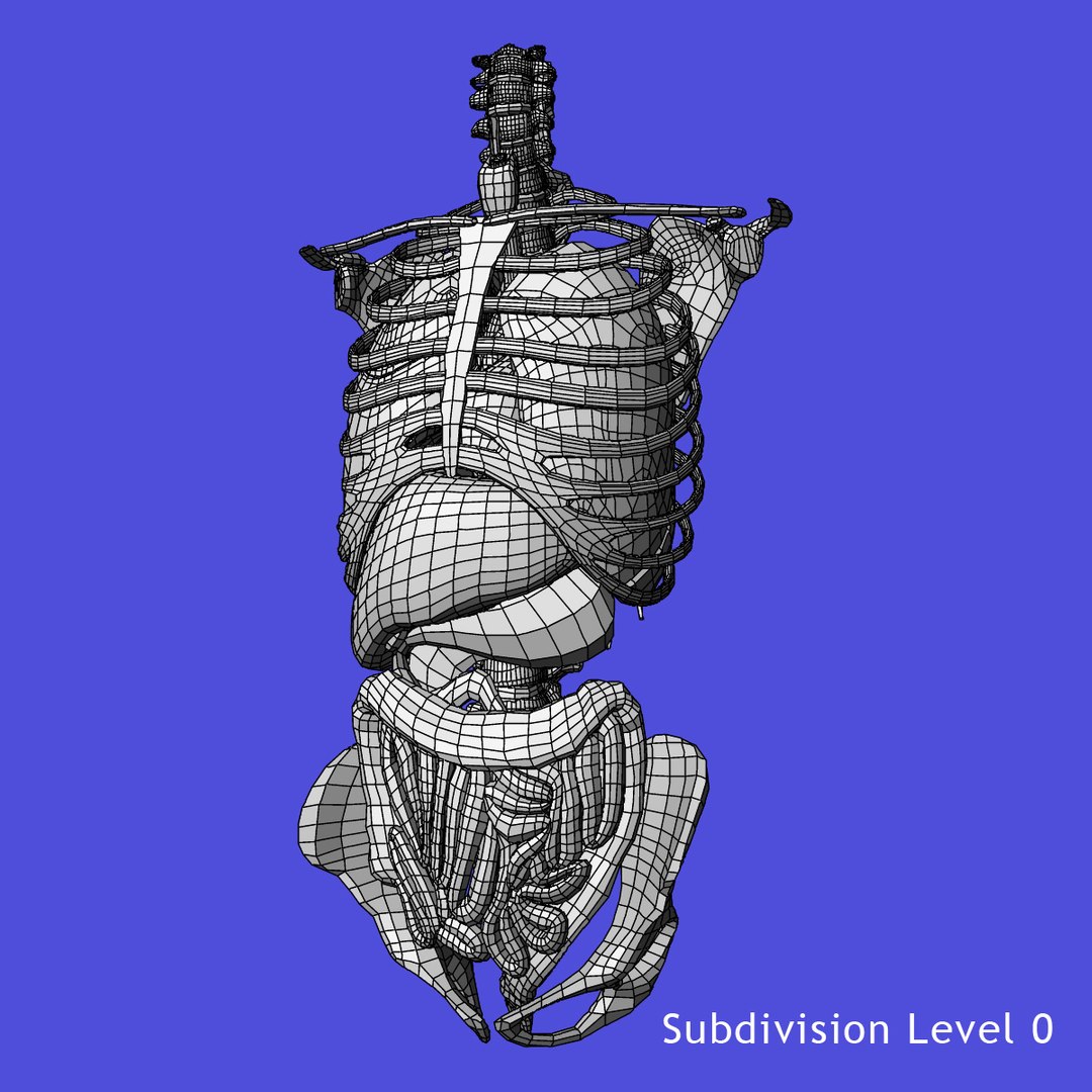 anatomy study torso 3d ma https://p.turbosquid.com/ts-thumb/qY/oiph2I/fCd51OB4/a/jpg/1421983606/1920x1080/fit_q87/0785cd5e8fe6f589931327bbeb2617bbdbc706b3/a.jpg