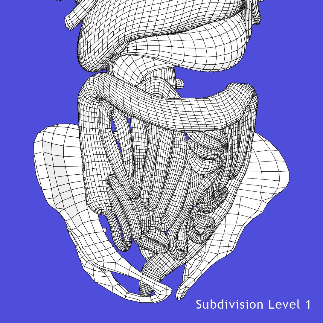 anatomy study torso 3d ma https://p.turbosquid.com/ts-thumb/qY/oiph2I/hGUnfhba/2/jpg/1421983606/1920x1080/fit_q87/18b7261207091cdd672df5fe72d4d186afd2af3f/2.jpg