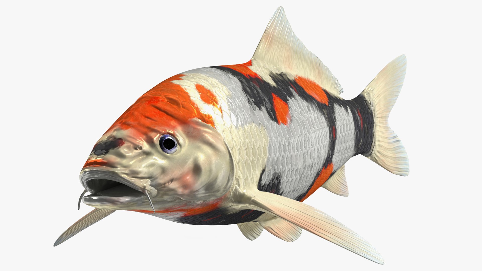 Harivake Koi Fish Rigged for Maya 3D model preview