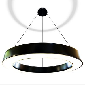 Hollow Circular Pendant Light model