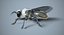 Robot Bee Insect