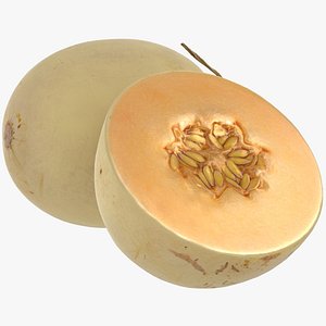 Orange Honeydew Melon