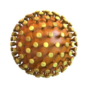 modeled coronavirus 3D model
