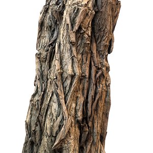 scanned tree bark obj