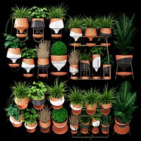 Clay collection