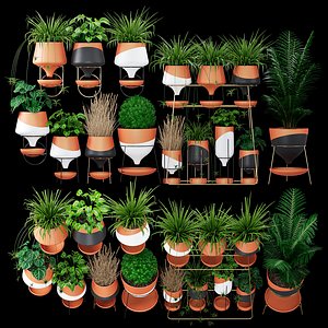 Clay collection