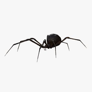 Black Widow Rigged