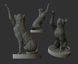 cat