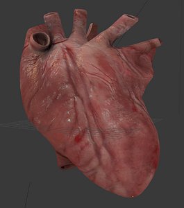 blender heart beating