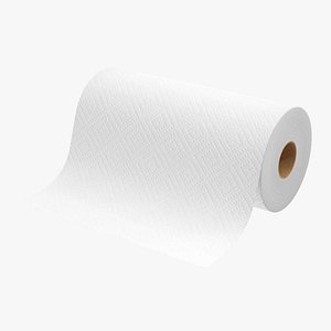 Paper Towel Roll