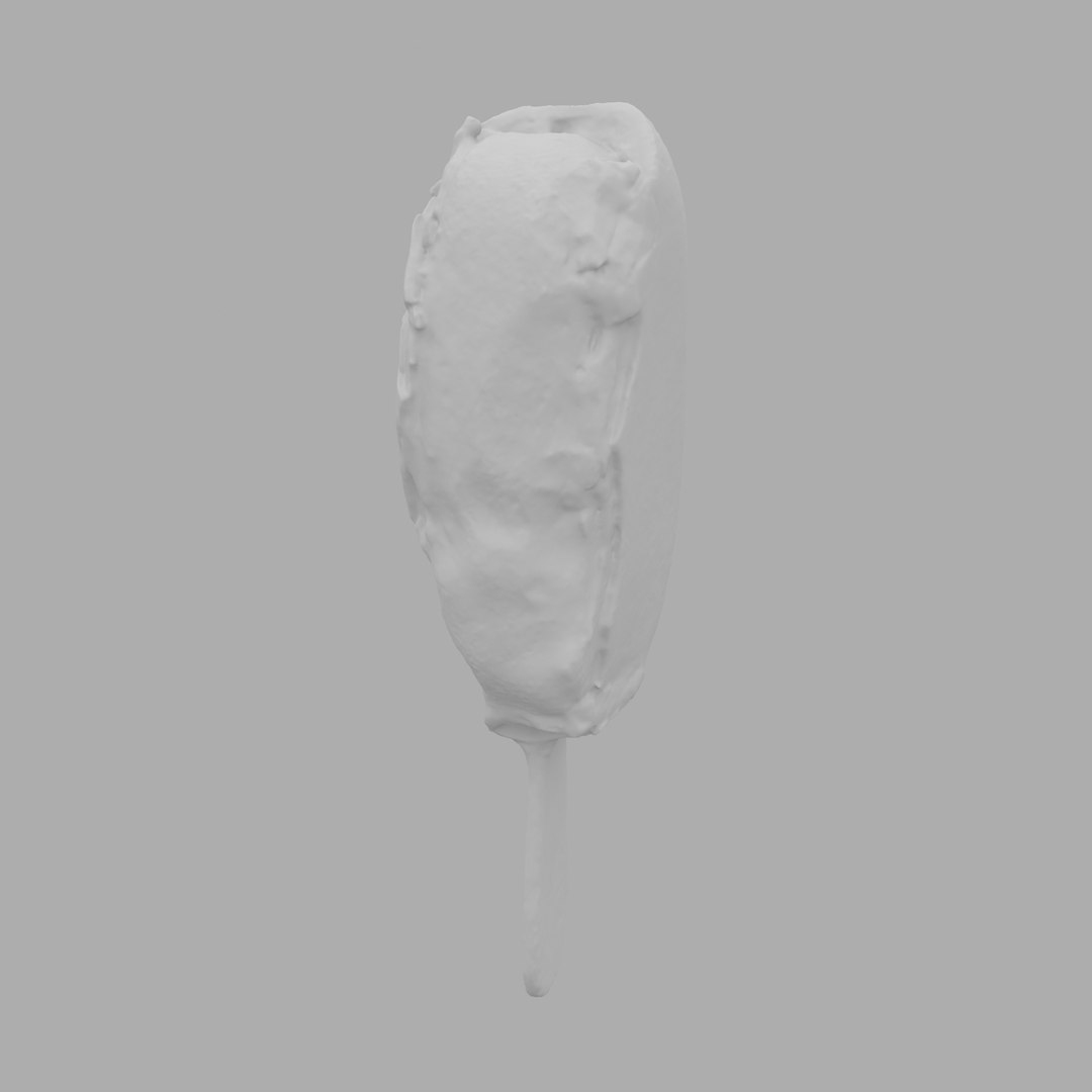 3D scan model https://p.turbosquid.com/ts-thumb/qZ/iB86a3/CYsq54At/c02/jpg/1504184324/1920x1080/fit_q87/3db7ed0afd4b9b4512350c131d058b1b0fd8d62c/c02.jpg