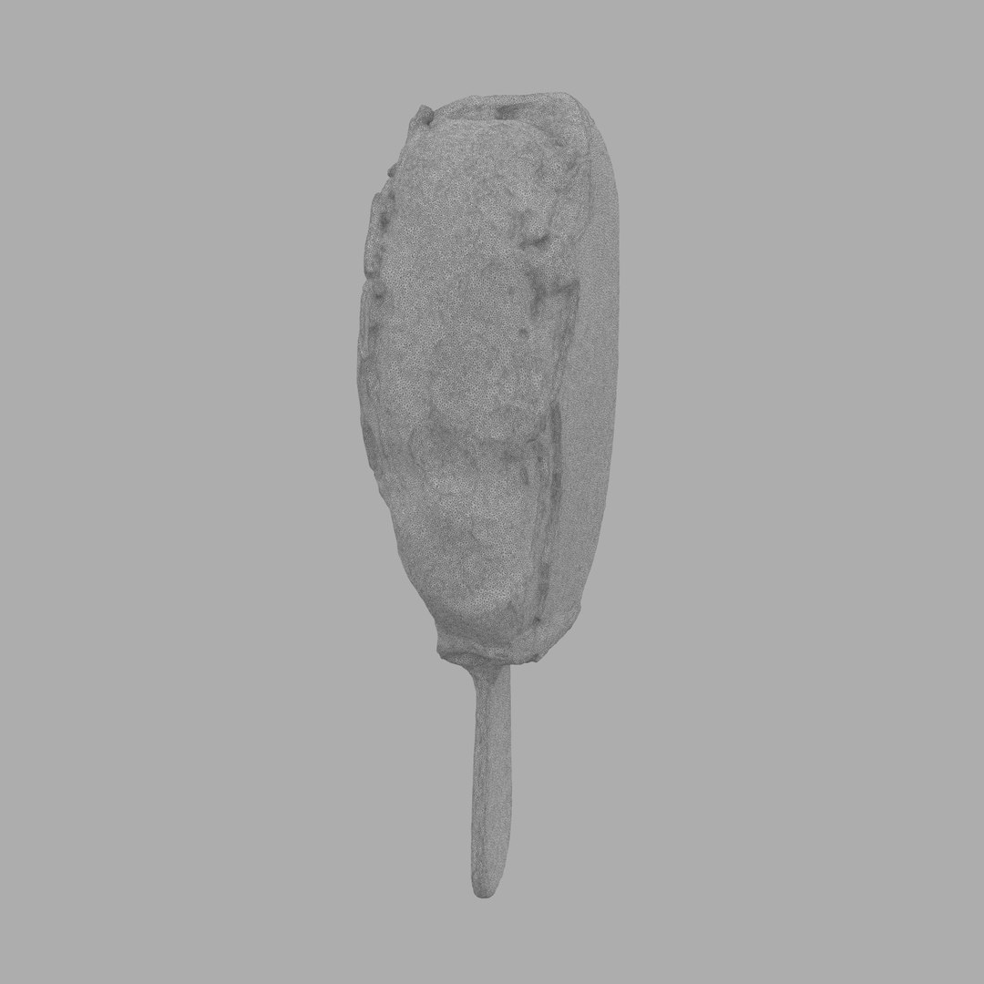 3D scan model https://p.turbosquid.com/ts-thumb/qZ/iB86a3/KZRLIDLk/w02/jpg/1504184324/1920x1080/fit_q87/743888ac7ba963984f58a645cbb0ad371333bc46/w02.jpg
