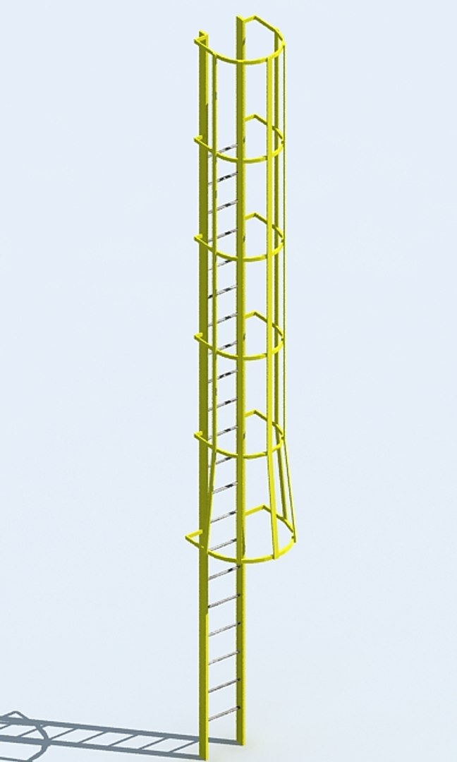 3d Standard Caged Ladder