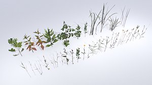 Plants Pack 3D model