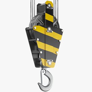 Crane Hook