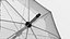 Black Handle Bubble Umbrella