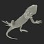 green iguana pose 3 3d model
