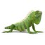 green iguana pose 3 3d model