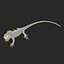 green iguana pose 3 3d model