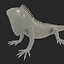 green iguana pose 3 3d model