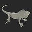 green iguana pose 3 3d model