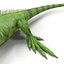 green iguana pose 3 3d model
