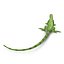 green iguana pose 3 3d model