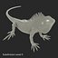 green iguana pose 3 3d model