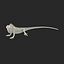 green iguana pose 3 3d model