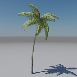 palm tree animation max free