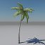 Palm Tree Animated