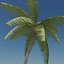 Palm Tree Animated