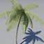 Palm Tree Animated