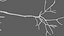 Multipolar Neuron Structure 3D model
