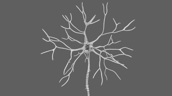 modelo 3d Estructura de la neurona multipolar - TurboSquid 2310930